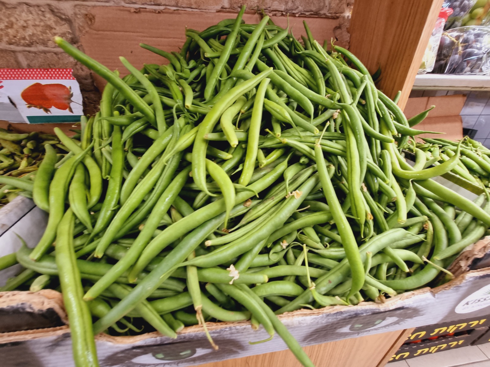 WhatsApp Image 2022-03-29 at 1.24.41 PM.jpeg